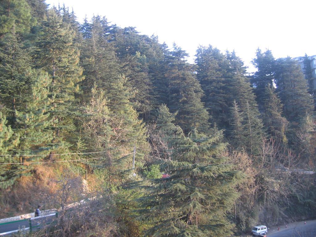 Shimla View Home Exterior foto